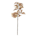 Light Yellow Eucalyptus Branch with Pods 48"
