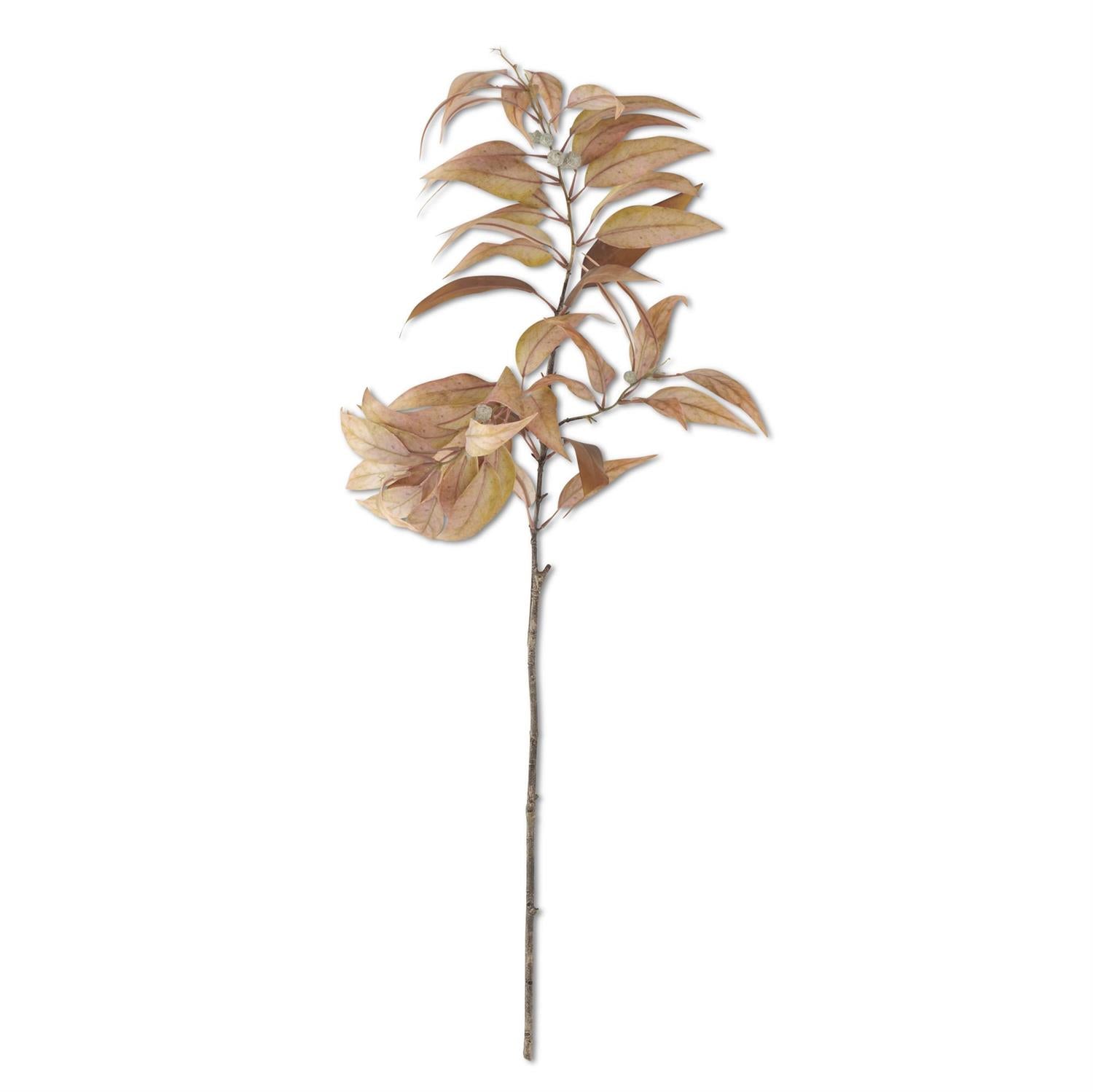 Light Yellow Eucalyptus Branch with Pods 48"
