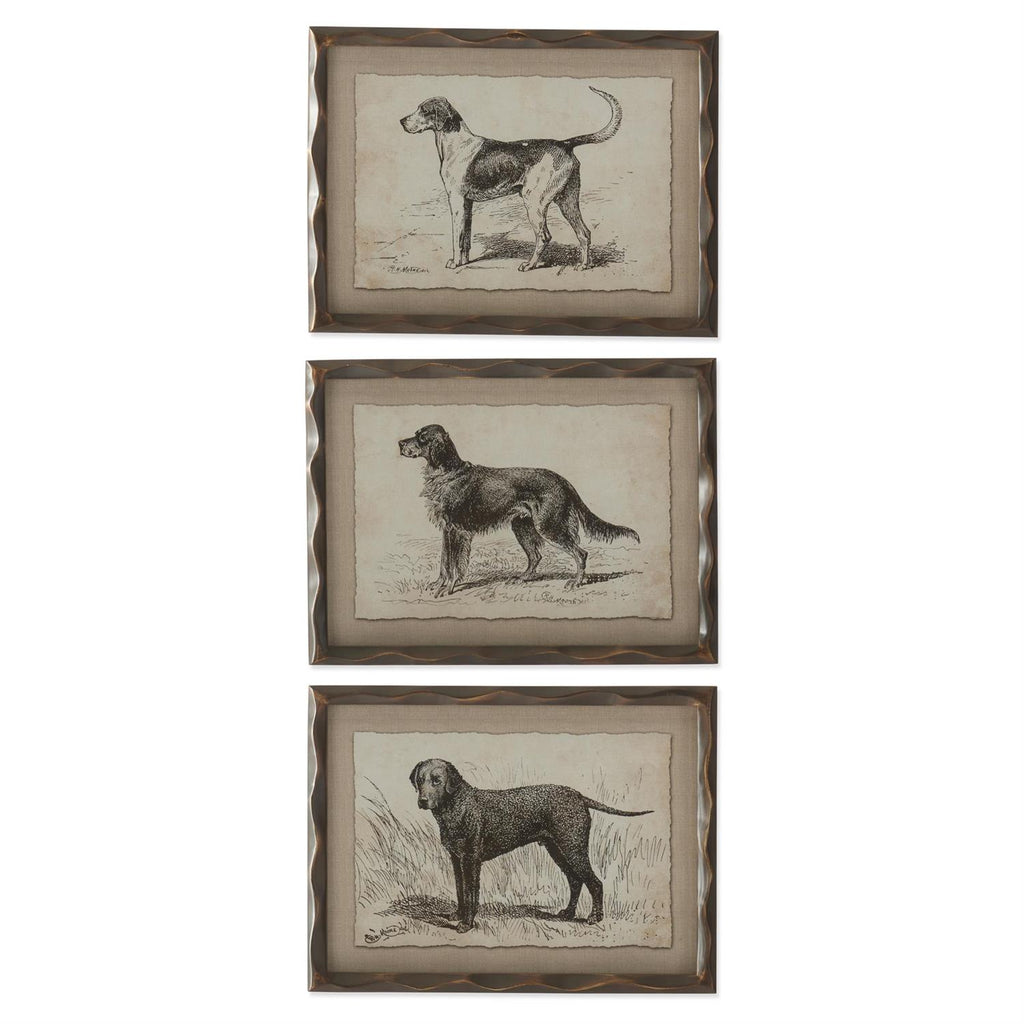 Ornate Framed Dog Prints