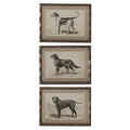 Ornate Framed Dog Prints