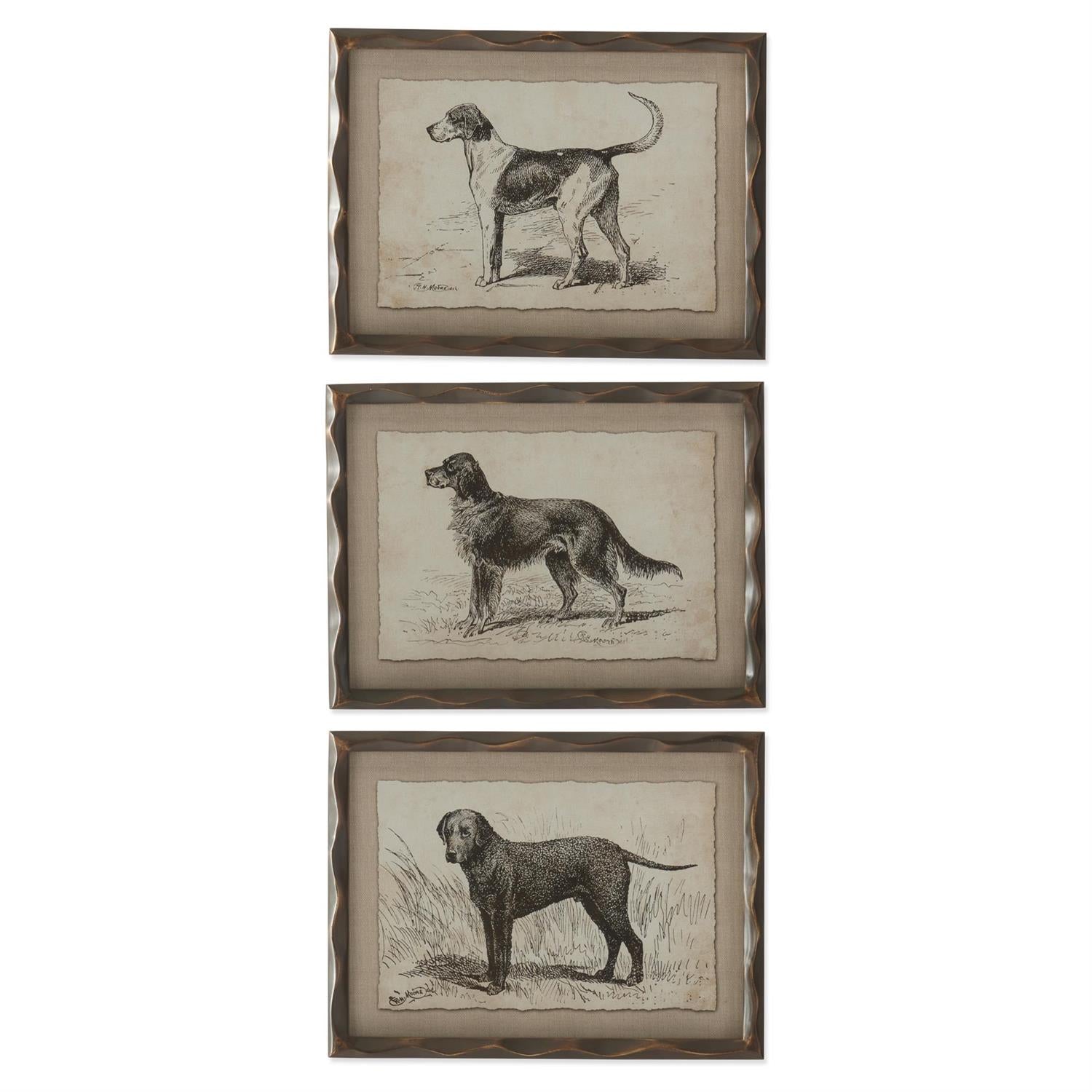 Ornate Framed Dog Prints