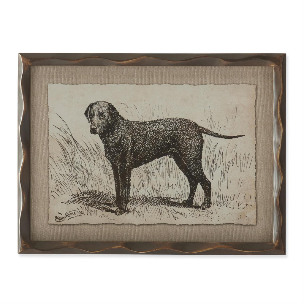 Ornate Framed Dog Prints