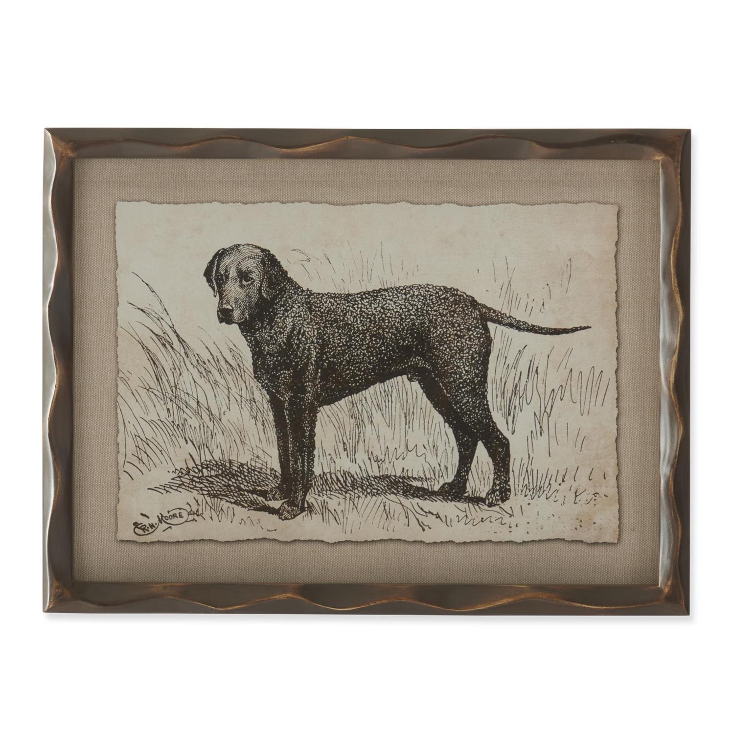 Ornate Framed Dog Prints