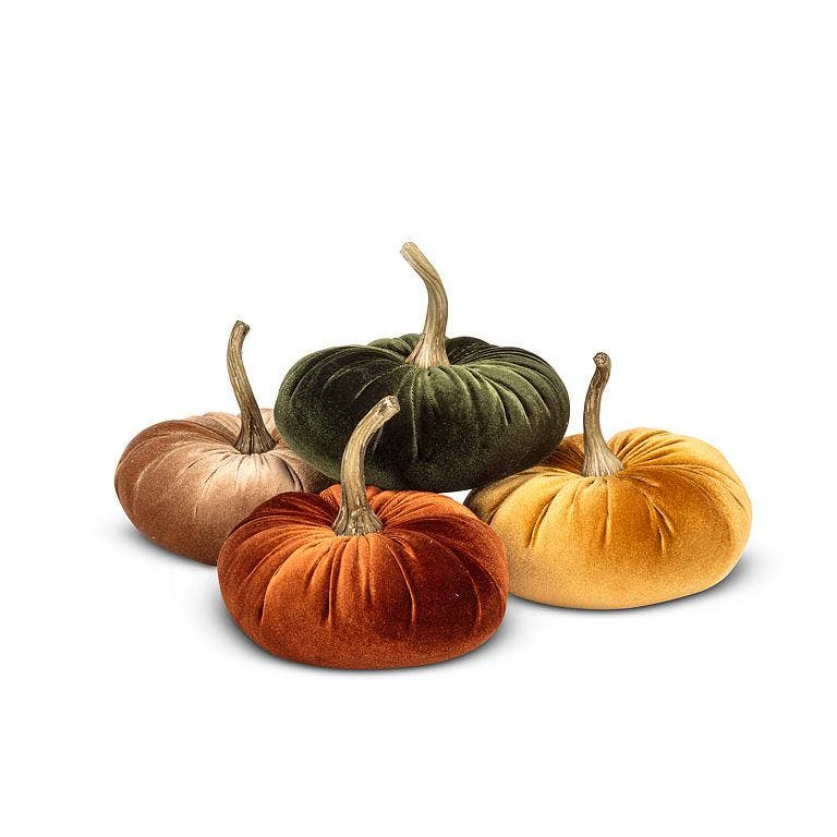 Velvet Pumpkin Assorted