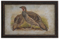 Pheasant Print A