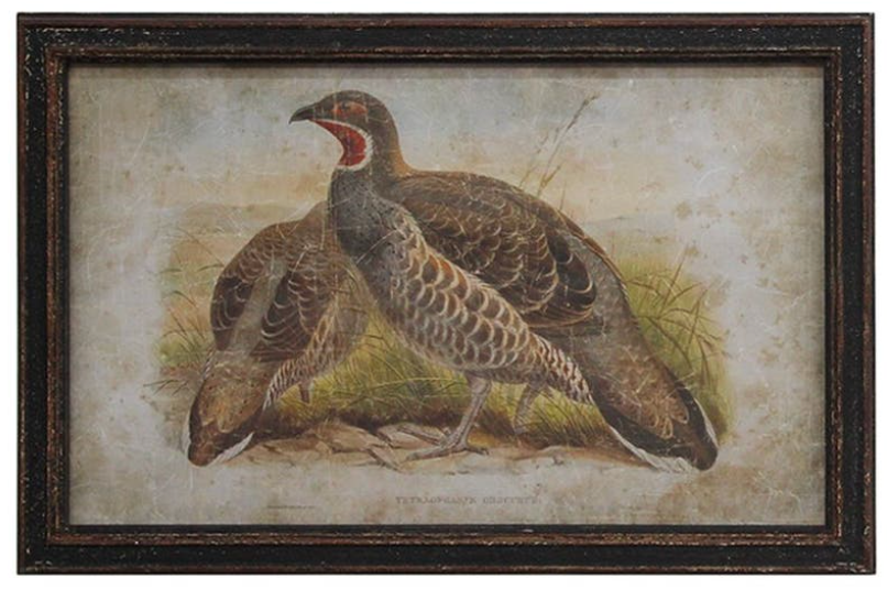 Pheasant Print A