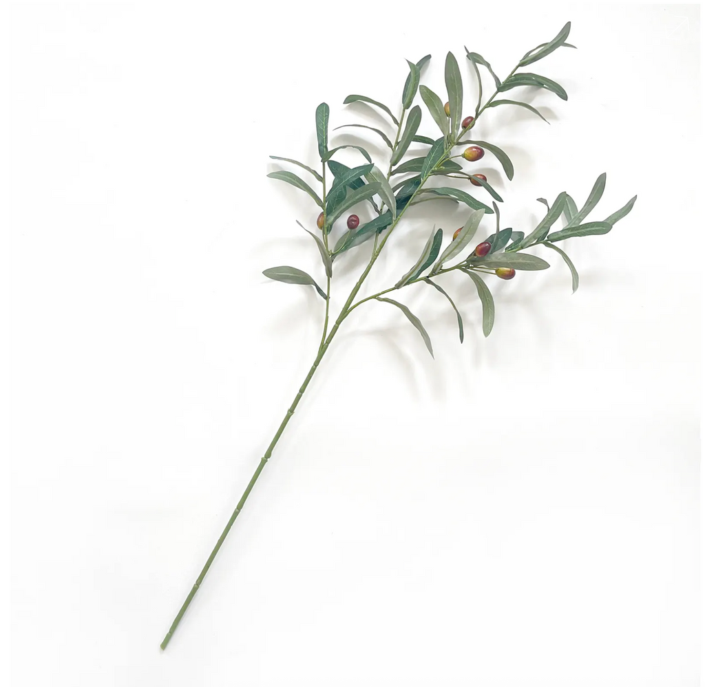 French Olive Stem