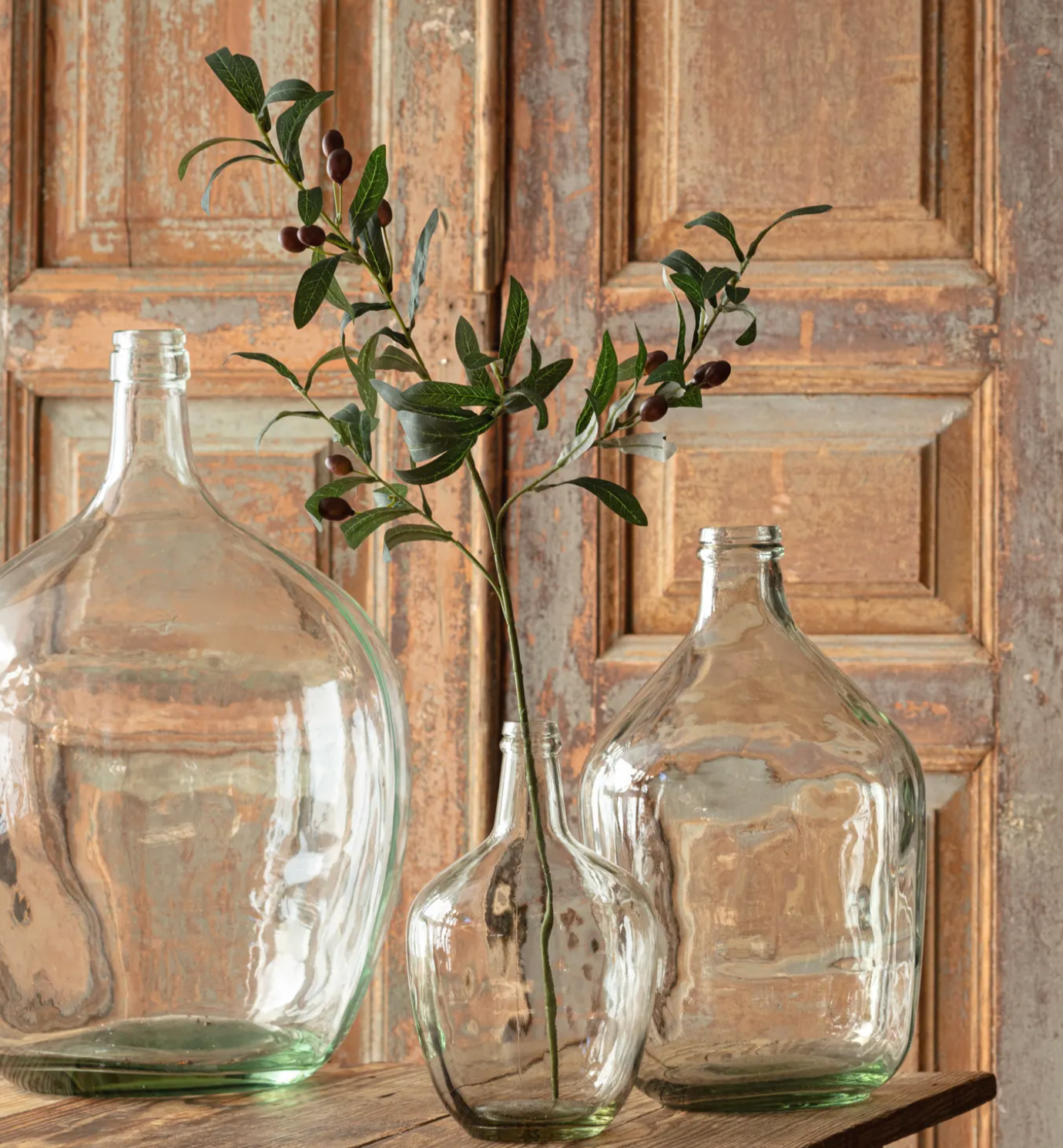 French Olive Stem