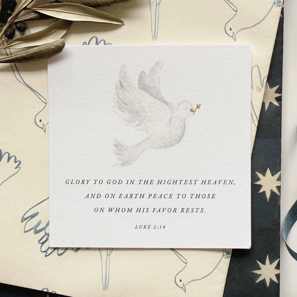 Truth for Today Christmas Gift