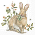 Paper Cocktail Napkins 20ct Garden Bunny Easter