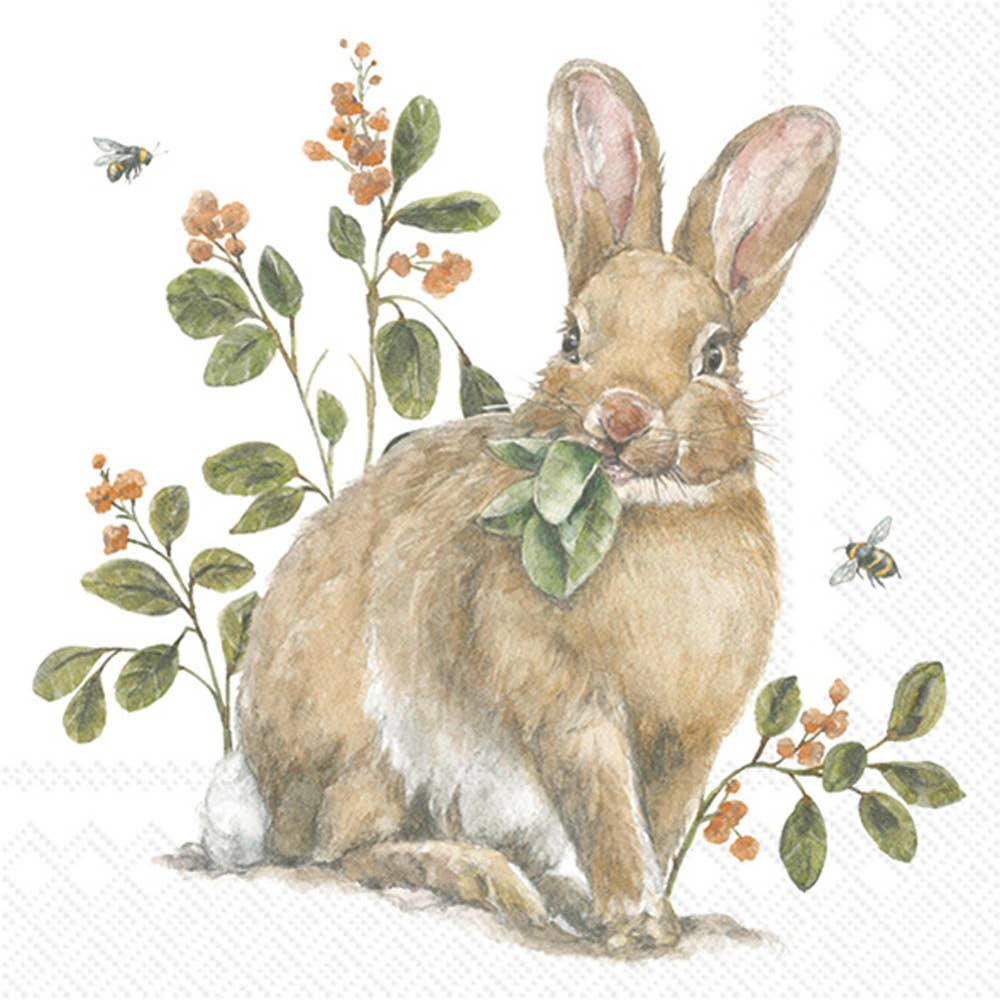 Paper Cocktail Napkins 20ct Garden Bunny Easter